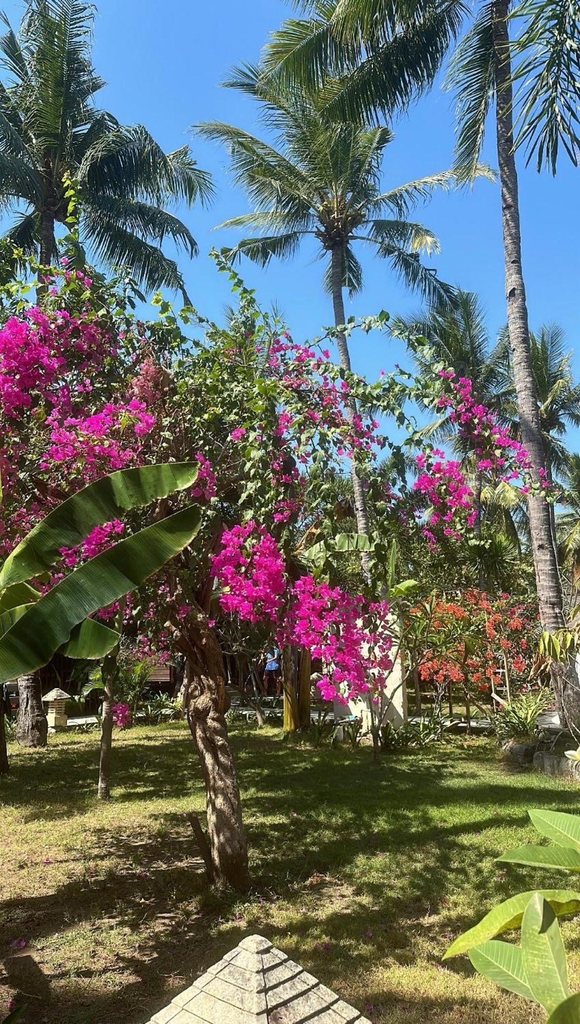 Trawangan Oasis Hotell Gili Trawangan Eksteriør bilde