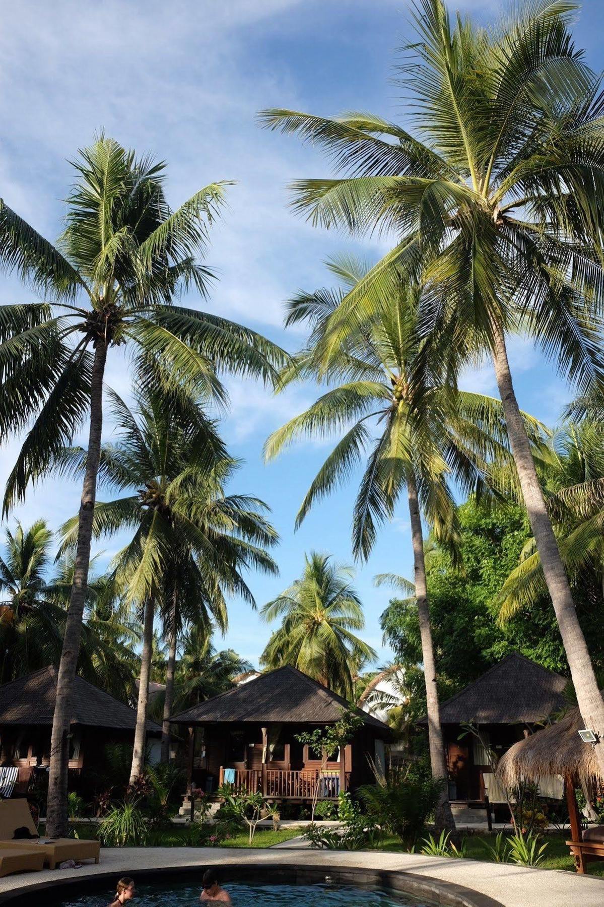 Trawangan Oasis Hotell Gili Trawangan Eksteriør bilde